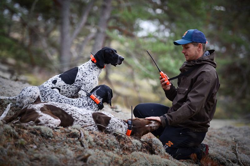 Professional tracking devices are designed for the extreme conditions faced by hunting and rescue dogs