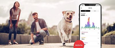 Keep track of your furry friend’s daily activities and monitor both active and sleep biorhythms over time