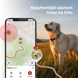 The DOG GPS mini tracker stands out with the most accurate route tracking thanks to the latest technology