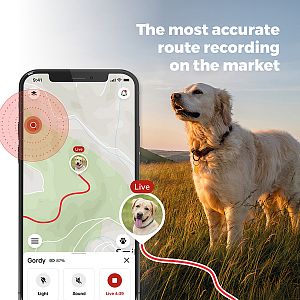 The DOG GPS mini tracker stands out with the most accurate route tracking thanks to the latest technology