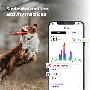 Track your pet’s activities and share them with the whole family