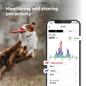 Track your pet’s activities and share them with the whole family