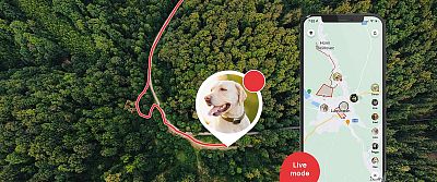 With Live tracking mode, you’ll know every step your canine companion takes in real time